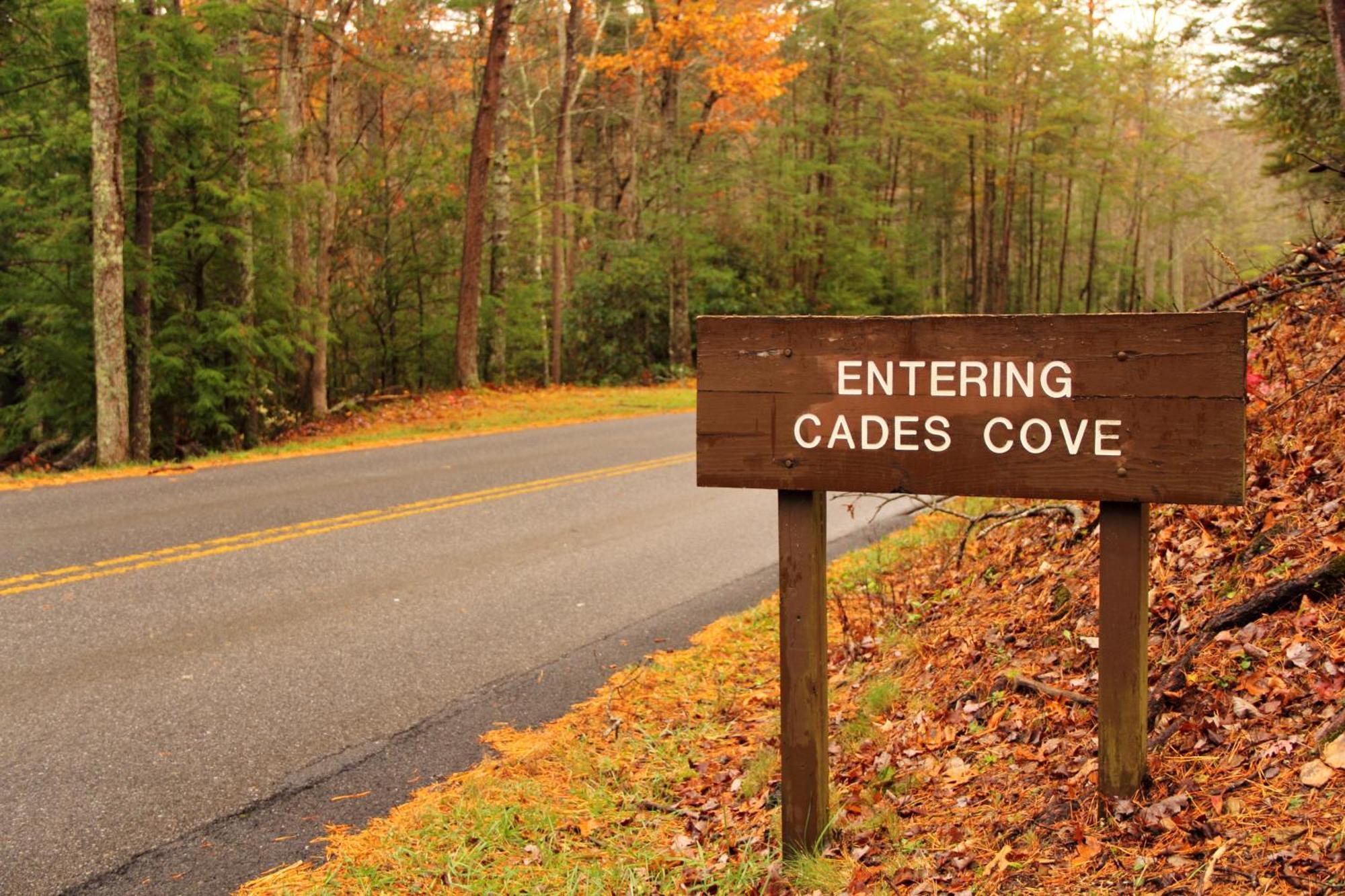 The Cozy Cove, Hot Tub, Wifi, 1089 Free Tickets Each Paid Day, Dollywood And More Sevierville Ngoại thất bức ảnh